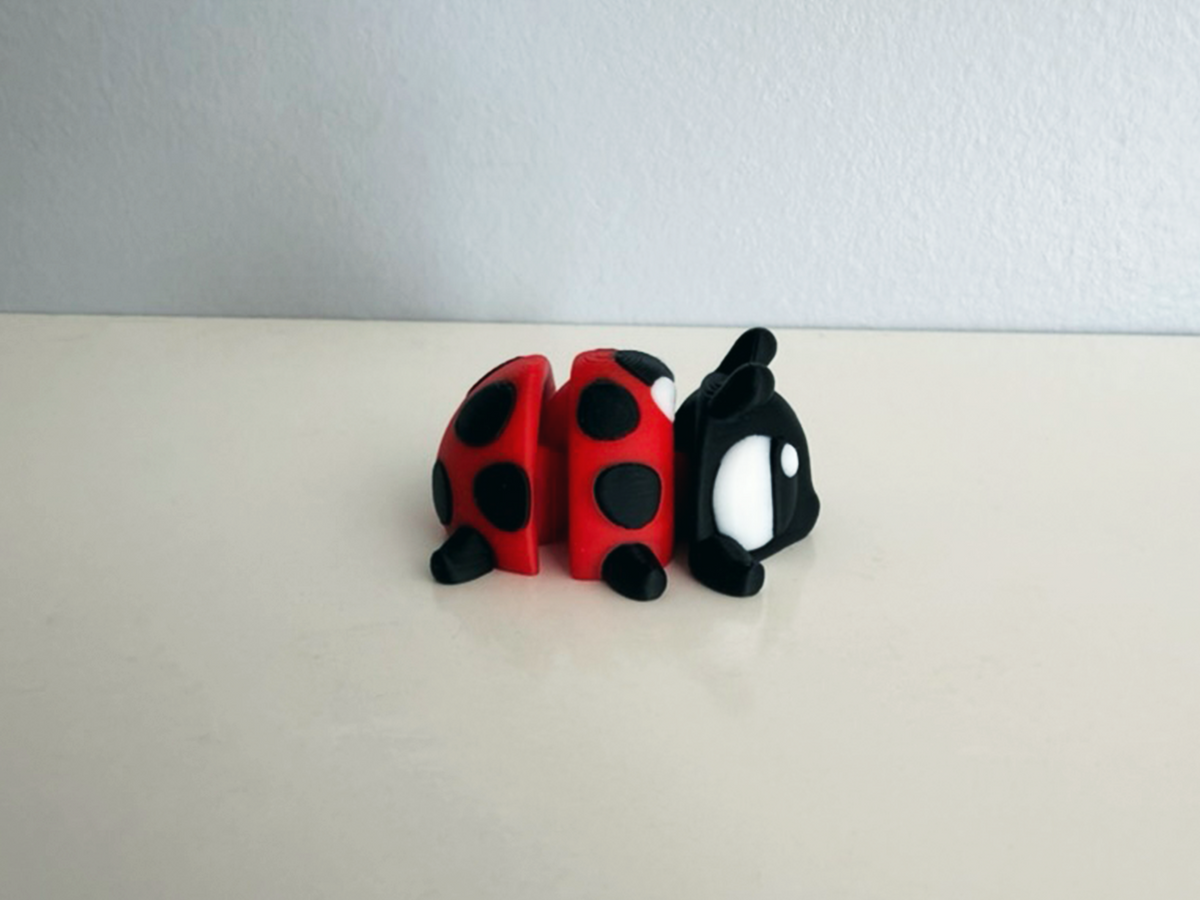 Flexi Ladybug and Flower Bed Playset