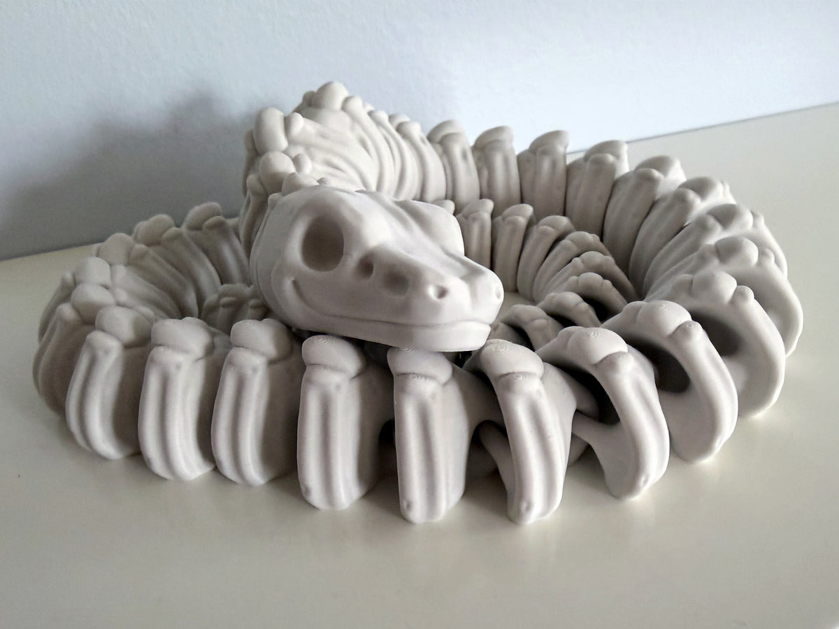 Ball Python Skeleton
