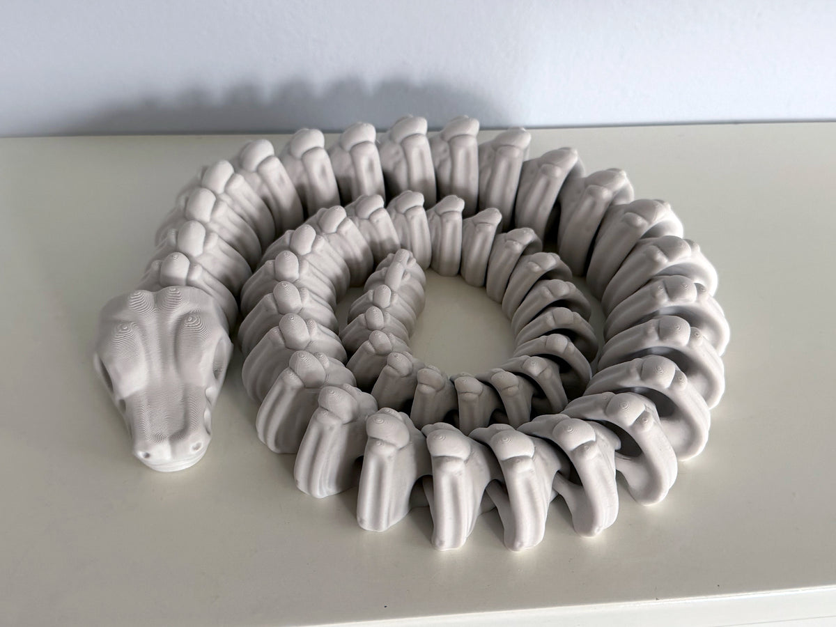 Ball Python Skeleton