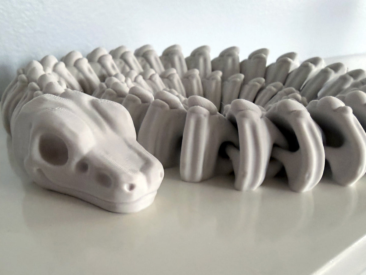Ball Python Skeleton