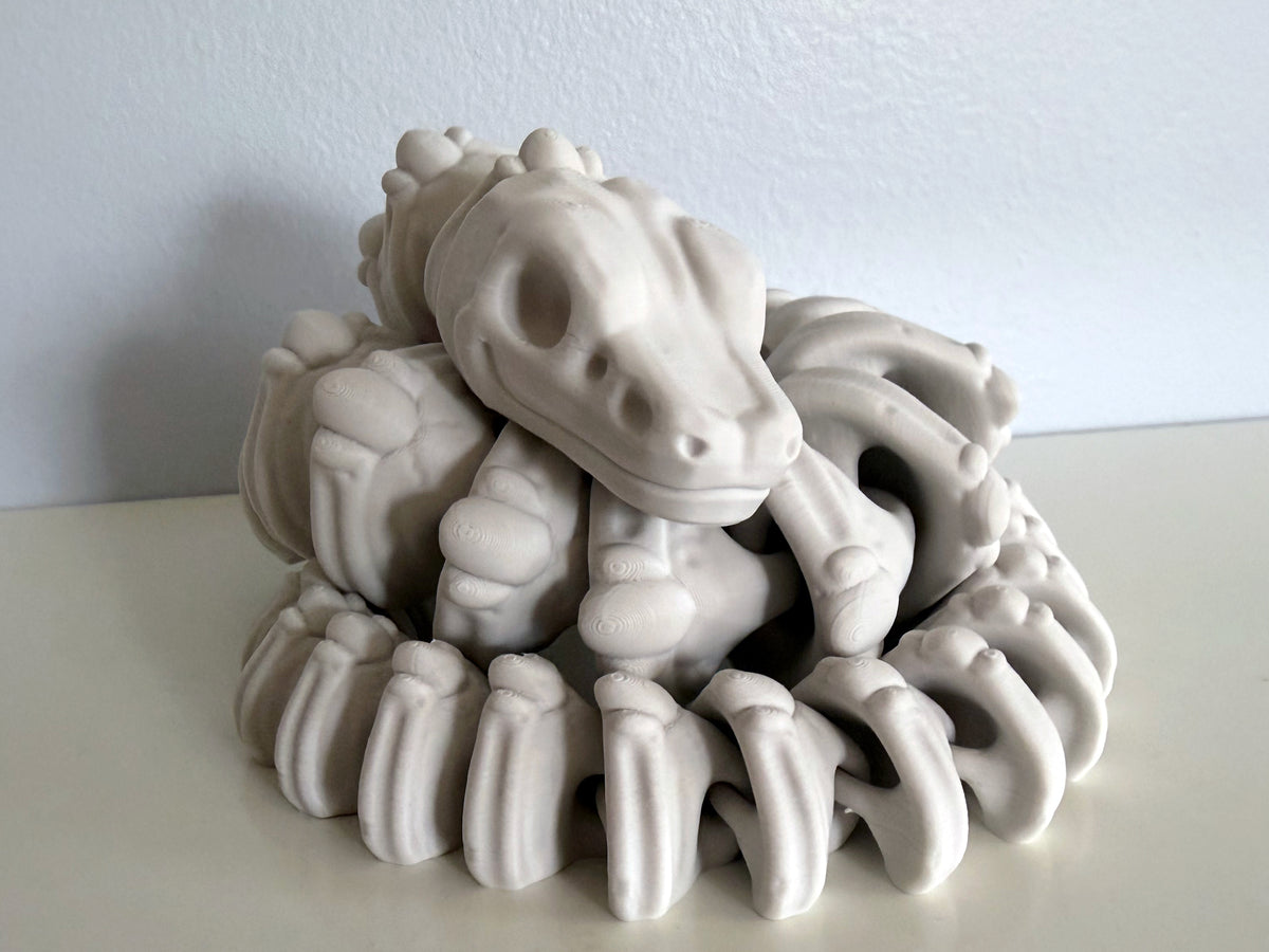 Ball Python Skeleton